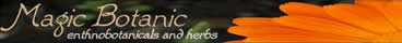 Magic Botanic is a Ethnobotanical, Herbal Tea and Cacti Shop based in the UK